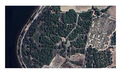 Mas de Caussagues, la Presqu'ile - Foto 34