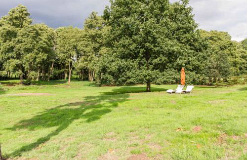 Briar Hill - Foto 28