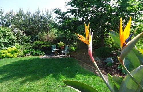 Kaszubiana direkt in der Natur - Photo 33