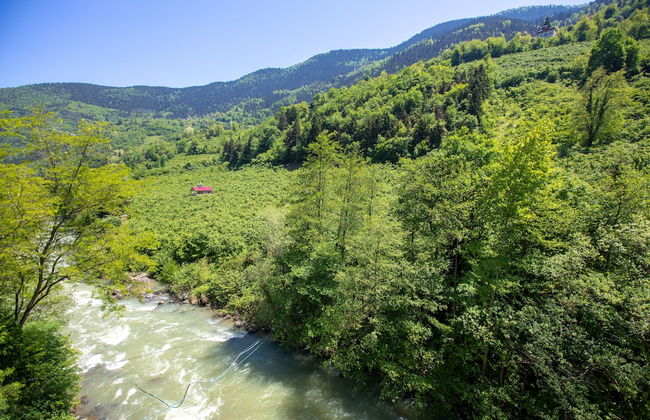 Valide Suit Apart - Foto 35