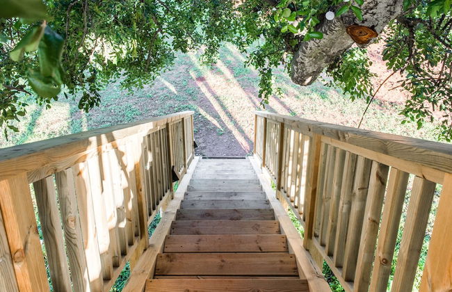 Conversas de Alpendre - Foto 9