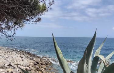 Bungalow Sixdays 2 - Photo 63