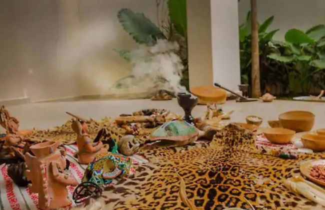 Amazing Studio With Private Pool Gym & Temazcal - Foto 21