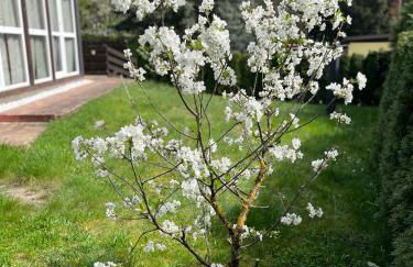 Ferienhaus Fjola - Photo 15