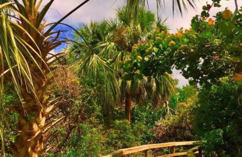 Mermaids Cove Heated Pool Jacuzzi Firepit Beach Access - Foto 10