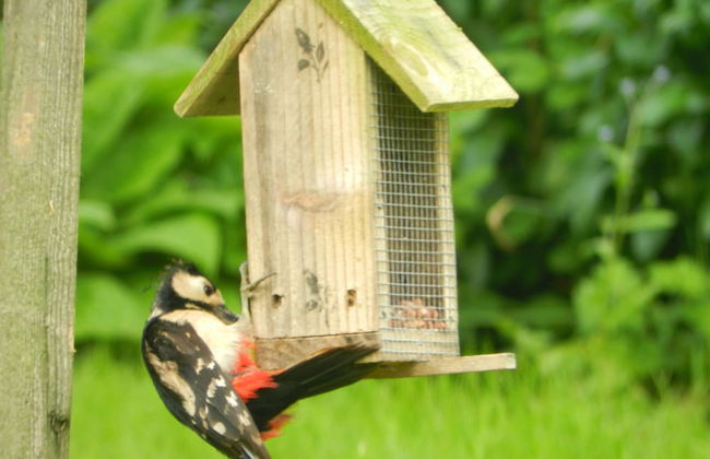 Comfy 4m -bed Bell Tent With Great Views - Foto 10