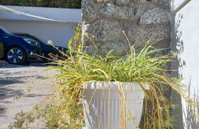 Villa Anna Maria - Foto 26