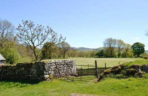 Hen Hafod - Photo 17