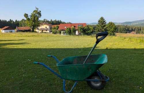 Ponyhof Adam Urlaub auf dem Bauernhof - Foto 80