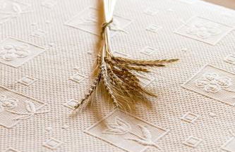 Apartamentos Rurales El Collaín de Campiellos - Foto 56