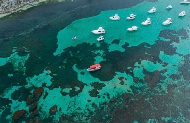 Rottnest Express Perth con Barco de Aventura - Foto 5