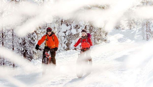 Pyhä-Luosto National Park Electric Bike Tour - Foto 4