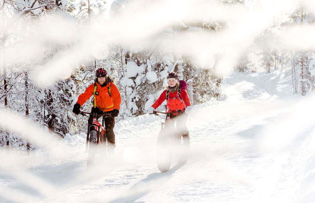 Tour en bicicleta eléctrica por el Parque Nacional Pyhä-Luosto - Foto 4