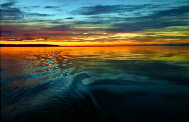 Suite at Trails End Beach House - Photo 34