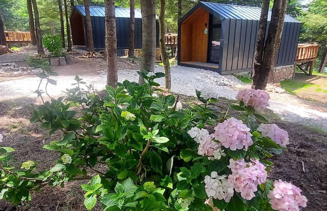 Tumba Sisli Vadi - Foto 48