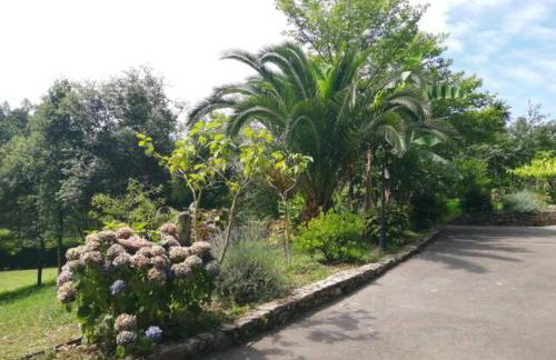 Finca La Sierra - Foto 6