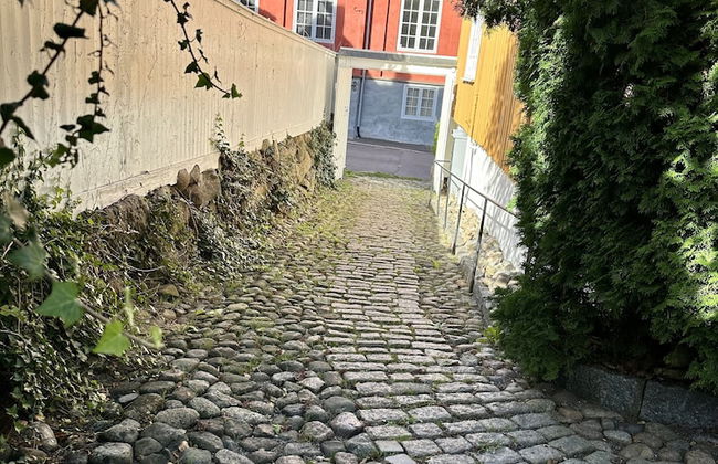 Toldgaarden Gjestegaard - Foto 43