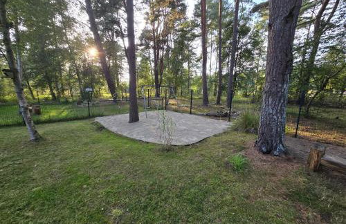 Daglezji 170 - Foto 36