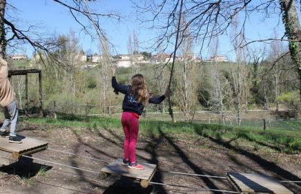 côté chêne - Foto 16