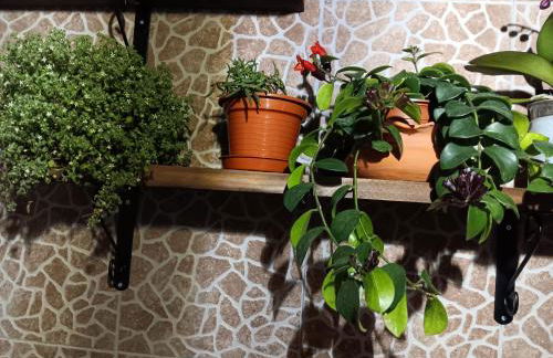 Casa da Rosarinha - Photo 8