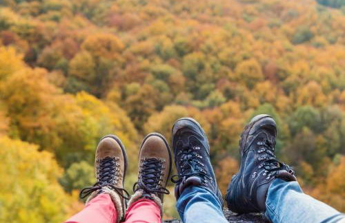 DwtnlParkPasslPizzaOvenlFirePitlYouTubeTVlKinglEV - Foto 10