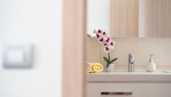 Villa Chocolate - Foto 5