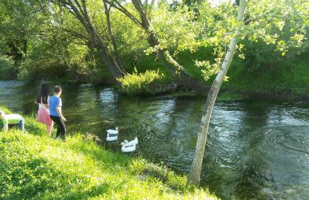 Apartments Babic - Photo 27