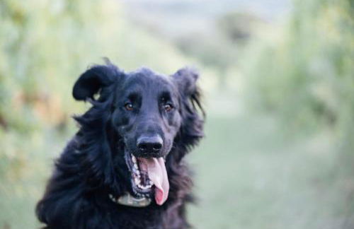 Fattoria San Donato - Foto 51