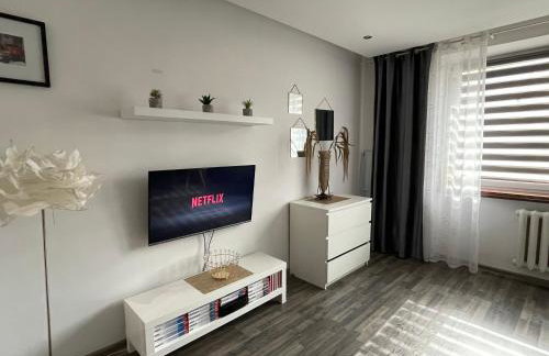 Apartament Gospodarcza - Foto 5