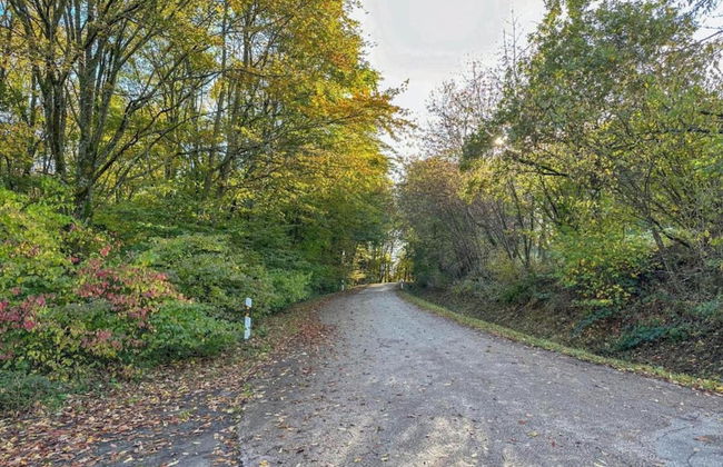 Hellenthal Family Retreat - Photo 37