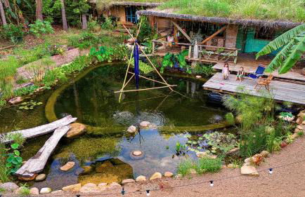 Recanto Ecológico - Foto 60