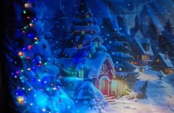 Cabaña la Charquita del Pato Andrés - Foto 52