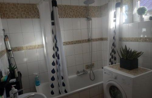 Owocowa Chojnata - Foto 53