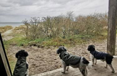 Ferienwohnung Schwede - Foto 25