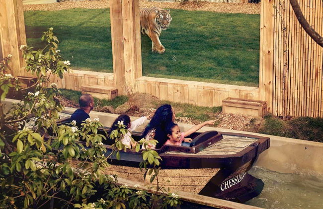 Entrada a Chessington World of Adventures - Foto 4