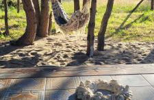 Apartament Szyszka w ogrodzie - Foto 1