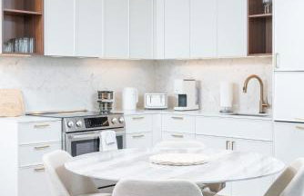 Back-Bay 2BR Penthouse w Roof top and GYM - Foto 3