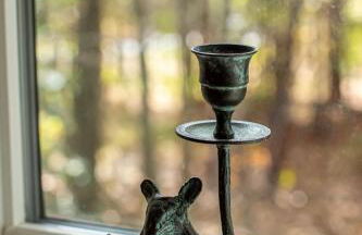 Tiny Home Lookout Mountain - Near Downtown & Falls - Foto 20