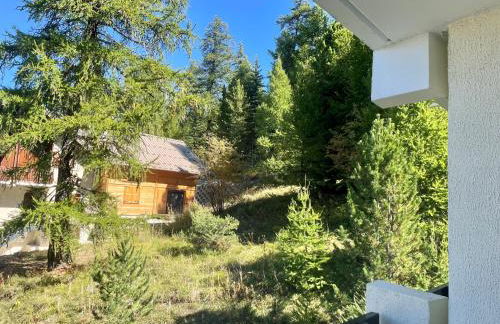 RISOUL 1850 - Appart' 4 personnes ski aux pieds - Foto 21