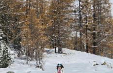 Charming apartment pool, SPA, sauna, CIR VDA - AYAS - 0005- - Foto 42