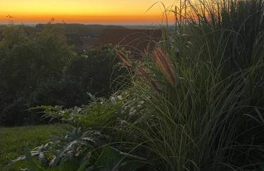 Atelier de Pfalz-Loftstyl mit Pfalzblick - Foto 21