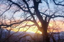 Nuestra casa de Luriezo - Foto 29