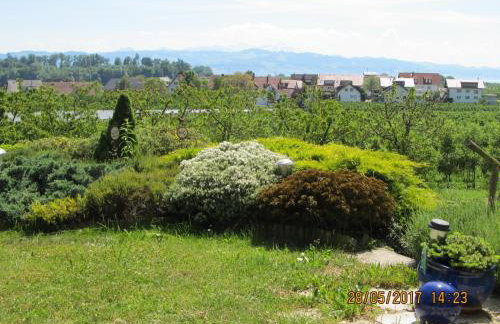 Landhaus Erben - Foto 64