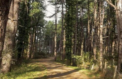 Le Rosa: Villa de charme entre mer et pinède - Foto 48