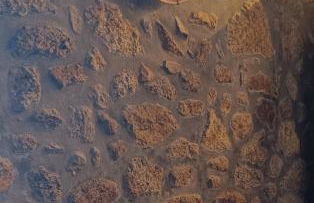 Quinta da Regada - Foto 18