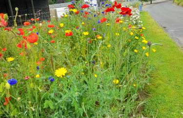 Moira Cottages at Berwickhall Sleeps 8 - Foto 15