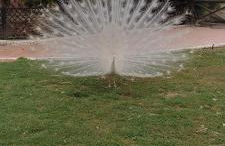 Apartamento Costa Marina 3 - Photo 39