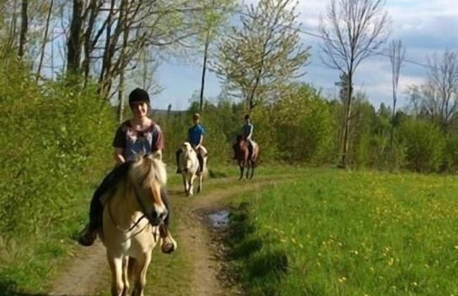 Grönelid Gård - Foto 26