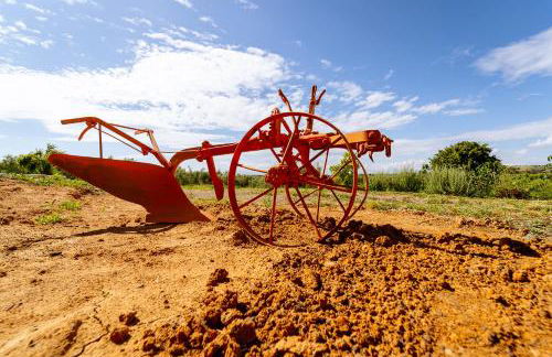 Villa Podere 109 - BioWine - Foto 24