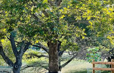 The Comfort Retreat - Foto 27